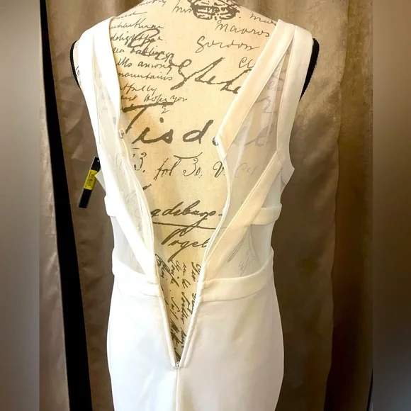 NWT Xtraordinary White Bodycon Mini Dress, Sheer Mesh Back, XL Juniors, 8 womens - Picture 9 of 16